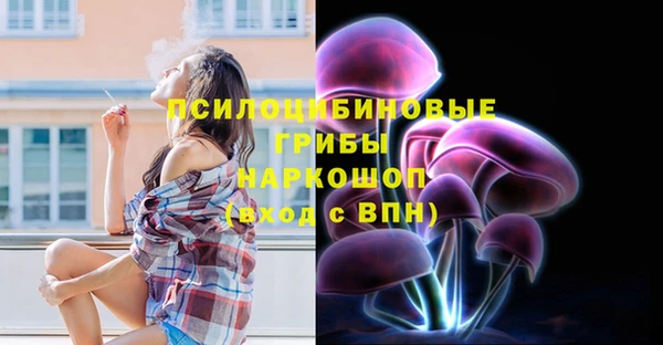 спайс Дмитриев