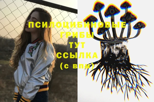 прущая мука Дмитровск