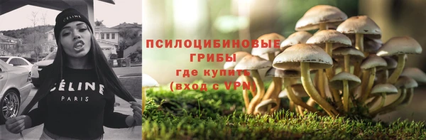 прущая мука Дмитровск