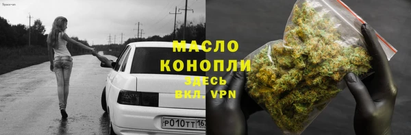 спайс Дмитриев