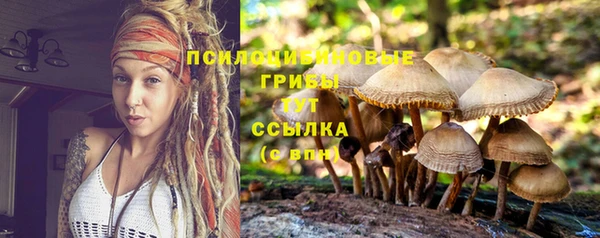 мяу мяу кристалл Дмитров