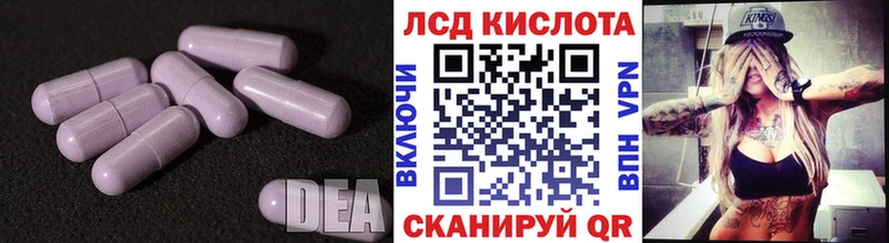 ЛСД экстази ecstasy  Купить где  Кашин 