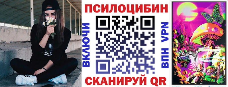 Галлюциногенные грибы мицелий  Купить закладки  Кашин 